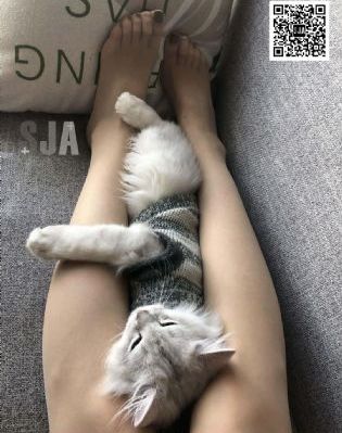 《扬名立万》免费观看_BD英语全集免费观看